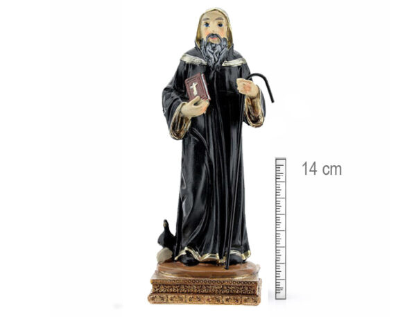 San Benito 14 cm