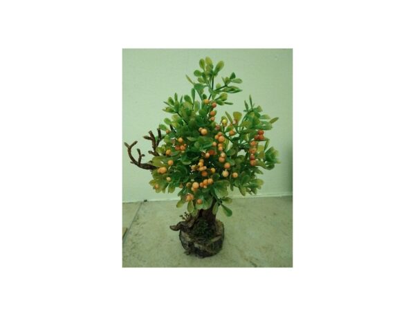 Arbol Frutal 20cm