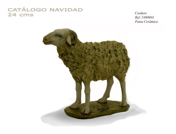 Cordero Nº 3. 24 cm