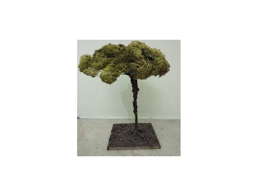 Pino 18cm: imagen 1
